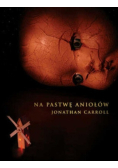 Na pastwę aniołów