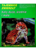 Tajemnice zwierząt koty duże średnie i małe