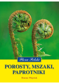 Porosty Mszaki Paprotniki