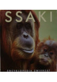 Ssaki encyklopedia zwierząt