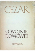 O wojnie domowej