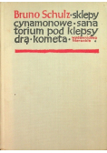 Sklepy cynamonowe Sanatorium pod Klepsydrą Kometa