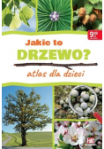 Jakie to drzewo Atlas dla dzieci