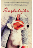 Przytulajka