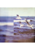 Przepis na Sopot