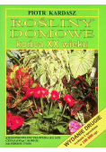 Rośliny domowe końca XX wieku