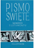 Pismo Święte Nowego Testamentu