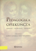 Pedagogika opiekuńcza