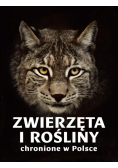 Zwierzęta i rośliny chronione w Polsce
