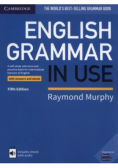 English Grammar in Use