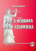 Sądy a ochrona praw człowieka