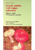 Grzyby jadalne i ich trujące sobowtóry