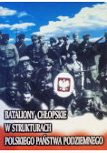 Bataliony Chłopskie w Strukturach Polskiego Państwa Podziemnego