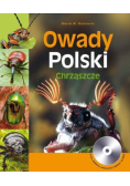 Owady Polski Chrząszcze