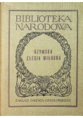 Rzymska elegia miłosna