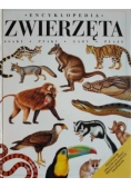 Encyklopedia zwierzęta Ssaki ptaki gady płazy