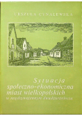 Sytuacja społeczno ekonomiczna miast wielkopolskich 1918 - 1939