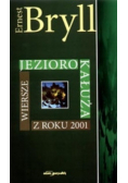 Jezioro kałuża