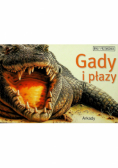Gady i płazy Mały przewodnik