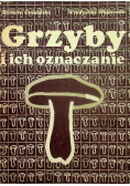 Grzyby i ich oznaczanie