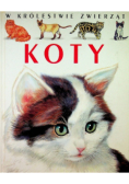 Koty