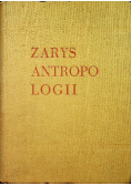 Zarys Antropologii