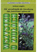 Od arcydzięgla do żywokostu