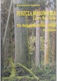 Puszcza Białowieska cztery pory roku