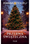 Przerwa świąteczna