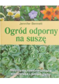 Ogród odporny na suszę