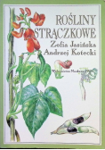 Rośliny strączkowe