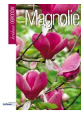 Magnolie