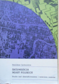 Śródmieścia miast polskich