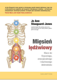 Mięsień lędźwiowy