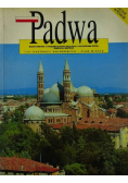 Padwa 115 ilustracji kolorowych