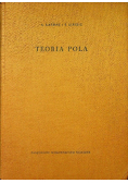 Teoria pola