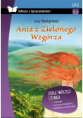 Ania z Zielonego Wzgórza