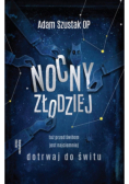 Nocny złodziej
