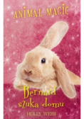 Animal Magic Bernard szuka domu