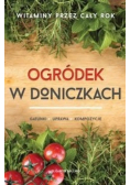 Ogródek w doniczkach