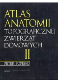Atlas Anatomii topograficznej zwierząt domowych Tom II