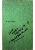Atlas roślin łąkowych i pastwiskowych