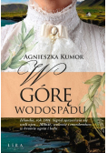 W górę wodospadu