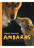 Ambaras
