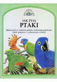 Jak żyją ptaki