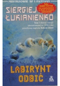 Labirynt odbić