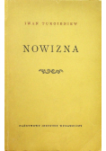 Nowizna