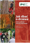 Jak dbać o drzewa
