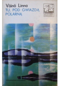 Tu pod gwiazdą polarną