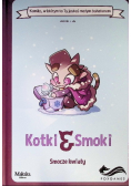 Komiks paragrafowy Kotki i smoki Smocze kwiaty